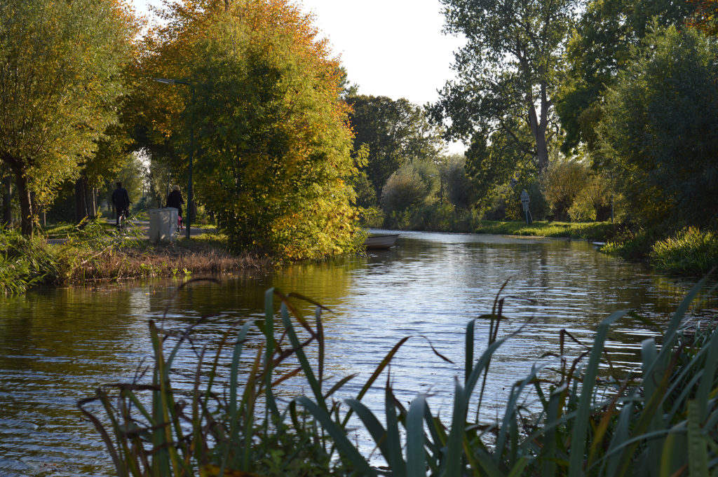 kaasboerderij